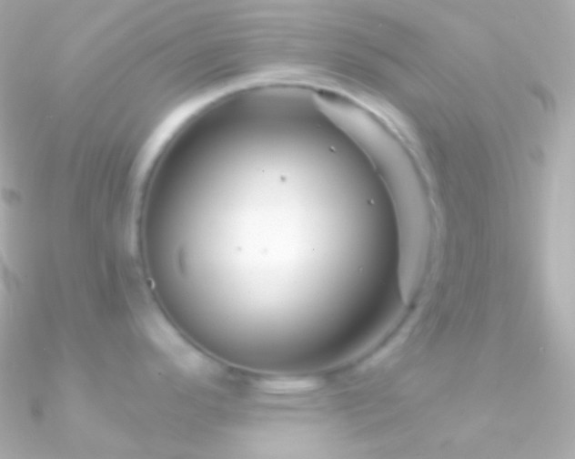 X0000090951296200708021329