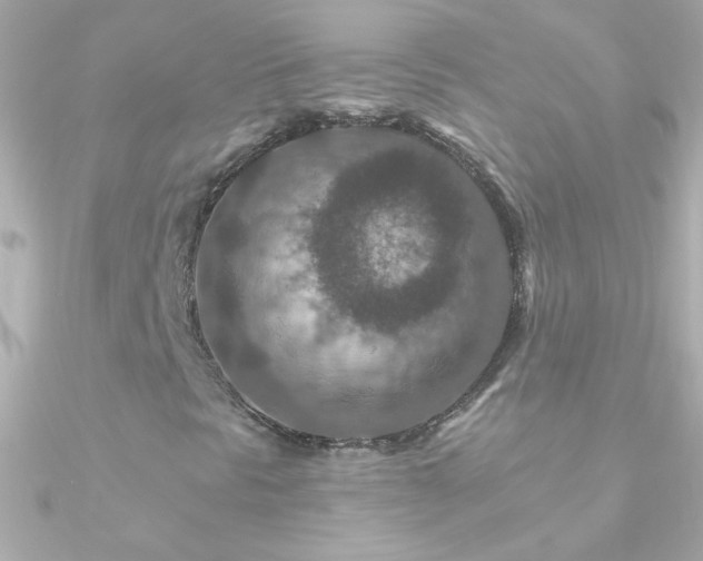 X0000090951297200708021329