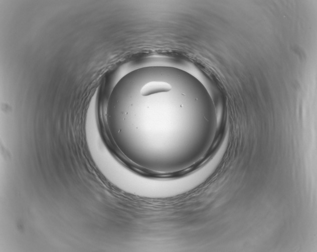 X0000090951298200708021329