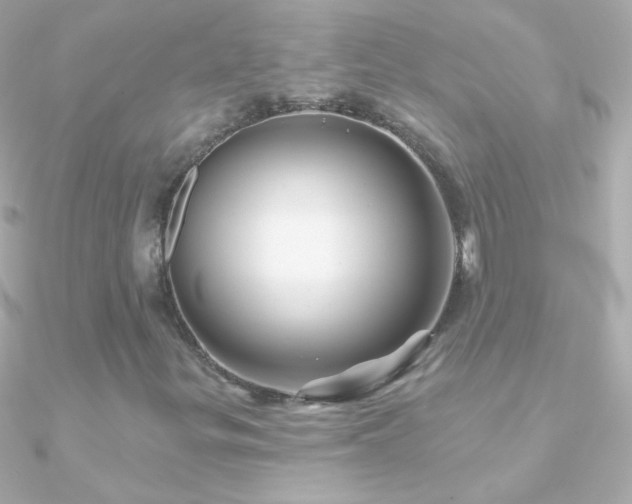 X0000090951299200708021329
