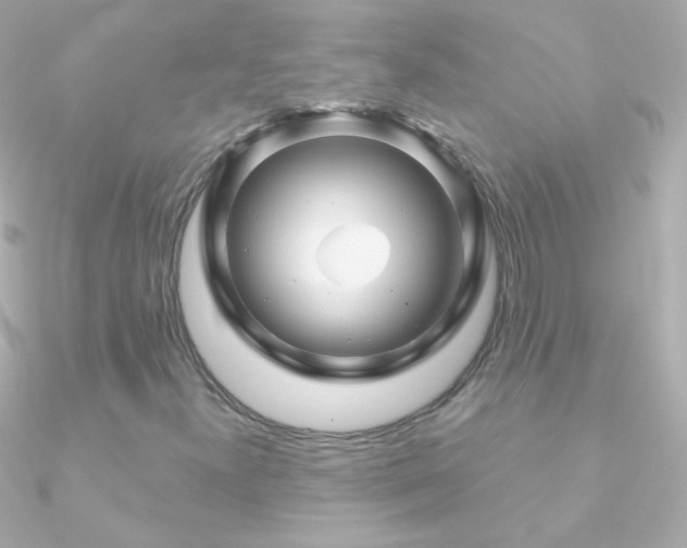 X0000090951300200708021329