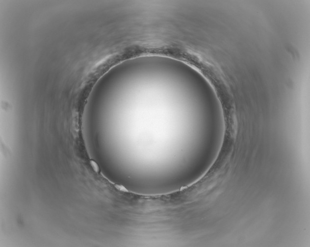 X0000090951301200708021329