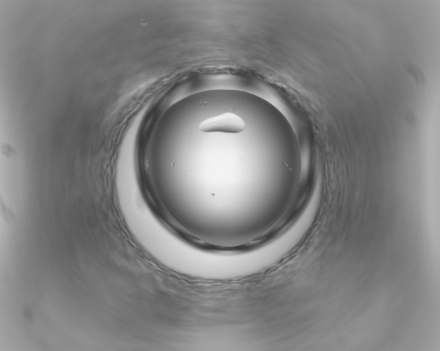 X0000090951302200708021329