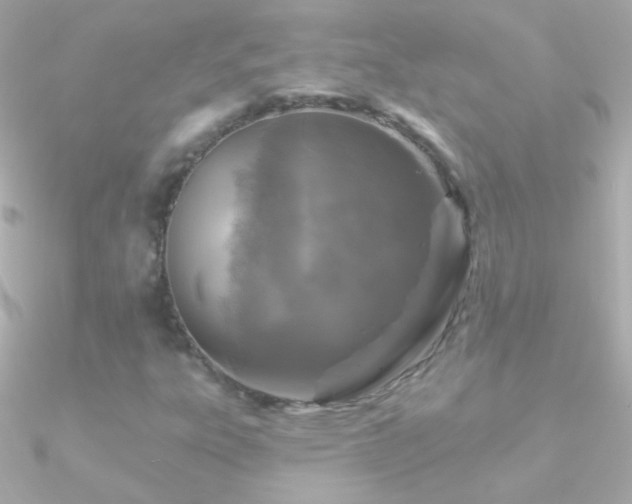 X0000090951303200708021329