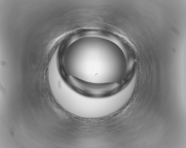 X0000090951304200708021329