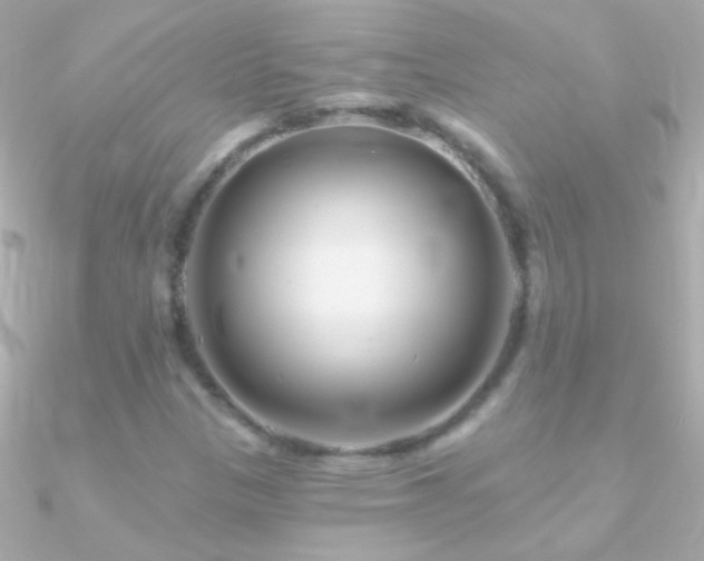 X0000090951305200708021329