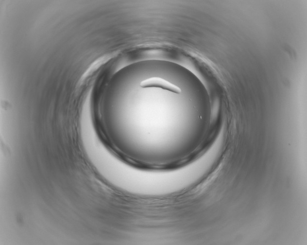 X0000090951306200708021329