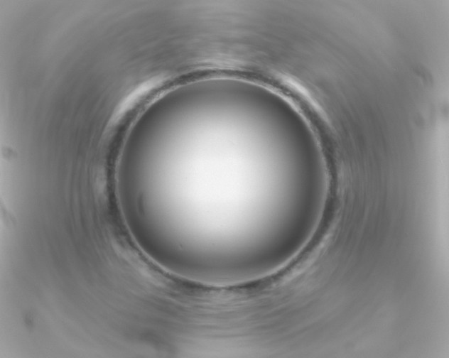 X0000090951307200708021329