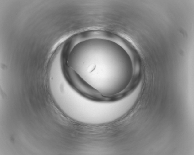 X0000090951308200708021329