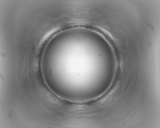 X0000090951309200708021329
