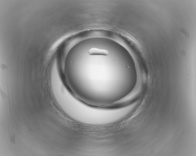 X0000090951310200708021329