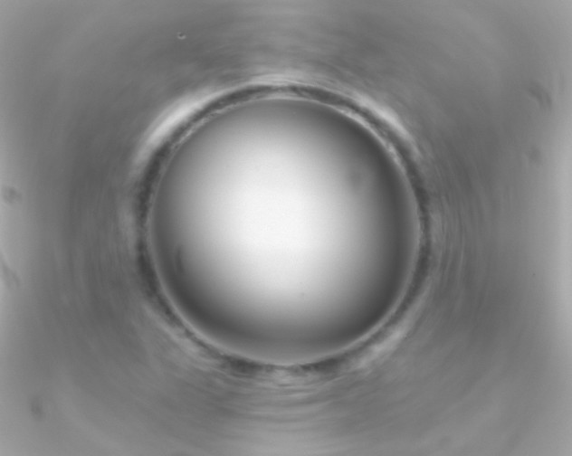 X0000090951311200708021329