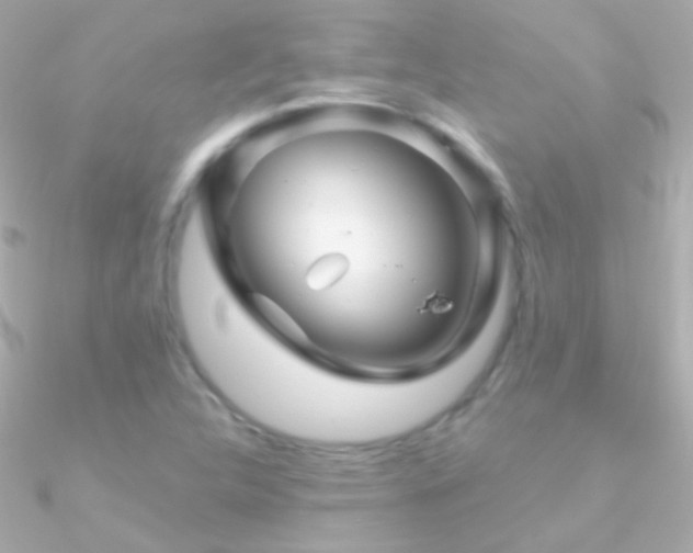 X0000090951312200708021329