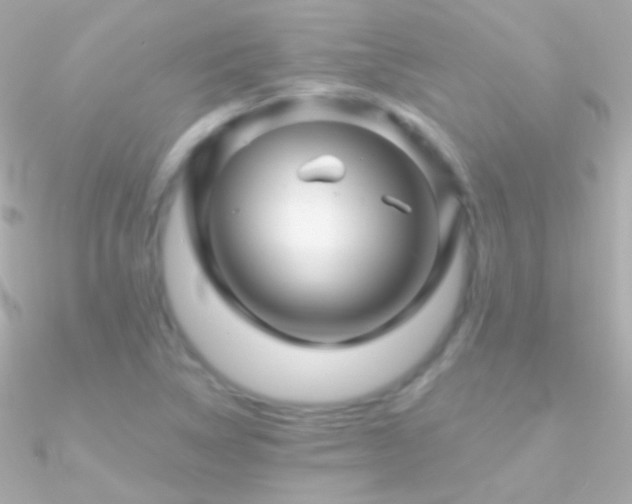 X0000090951314200708021329