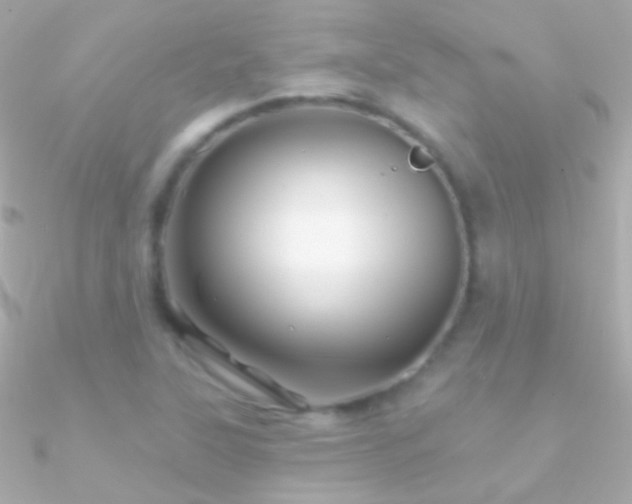 X0000090951315200708021329