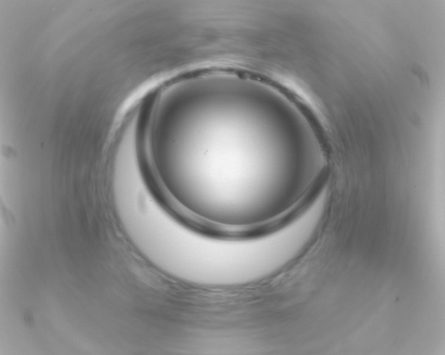 X0000090951316200708021329