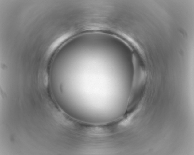X0000090951317200708021329