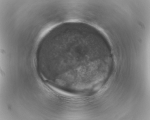 X0000090951319200708021329