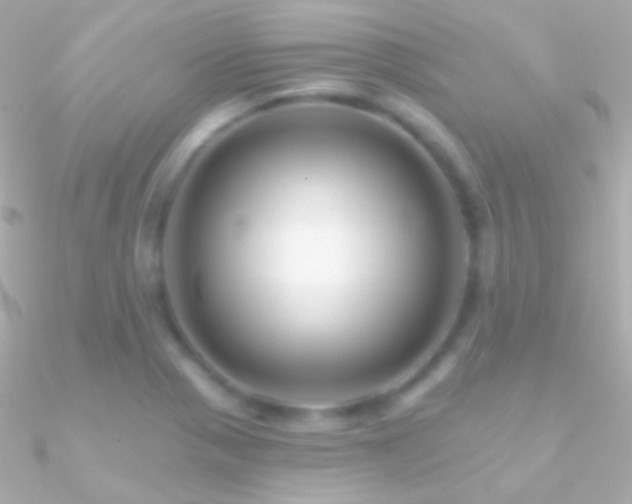 X0000090951321200708021329