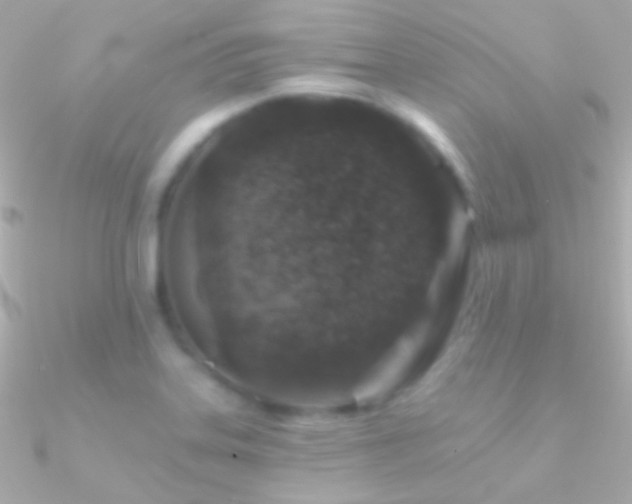 X0000090951323200708021329