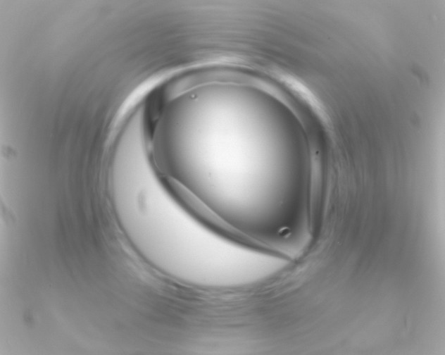 X0000090951324200708021329