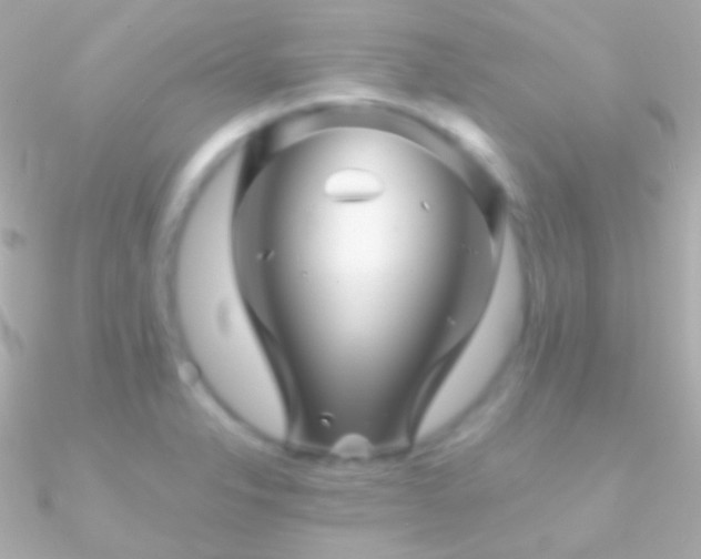X0000090951326200708021329
