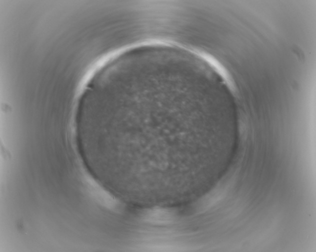 X0000090951327200708021329
