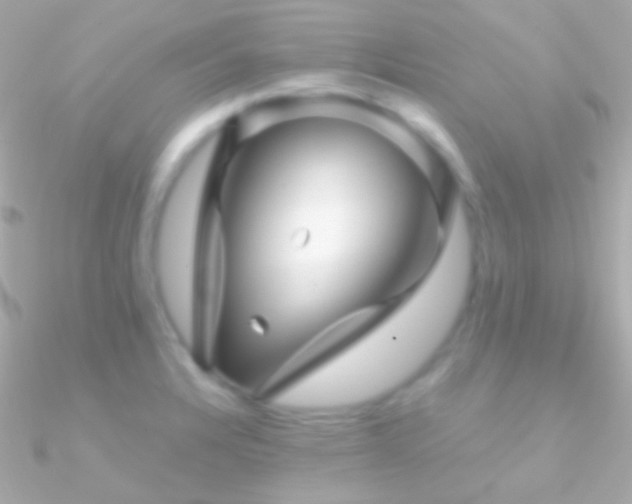 X0000090951328200708021329