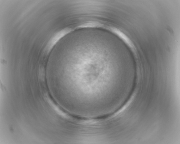 X0000090951329200708021329