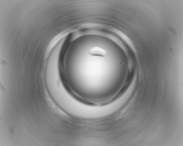 X0000090951330200708021329