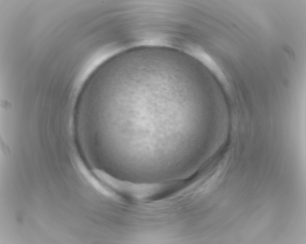 X0000090951331200708021329