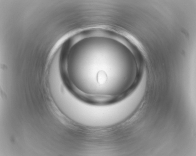 X0000090951332200708021329