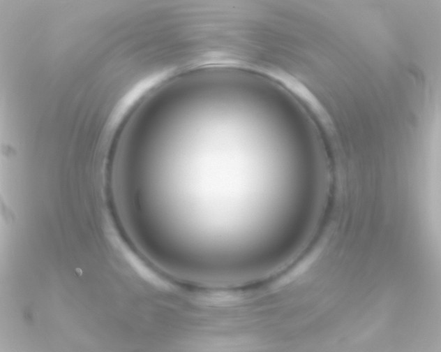 X0000090951333200708021329