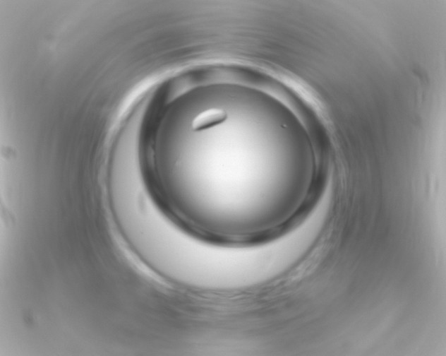 X0000090951334200708021329