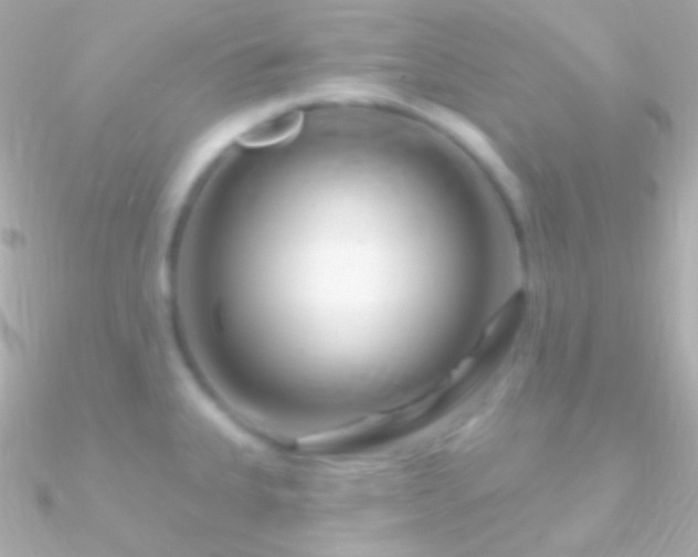 X0000090951335200708021329