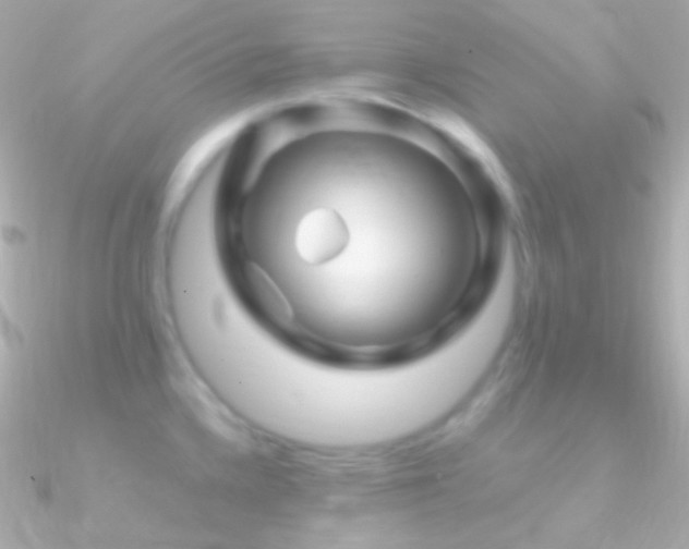 X0000090951336200708021329
