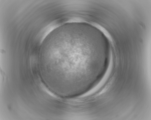X0000090951337200708021329