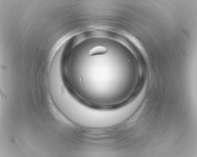 X0000090951338200708021329