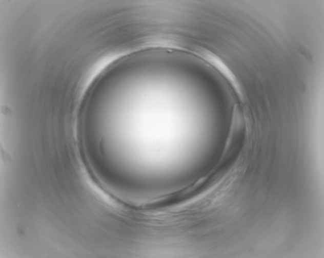 X0000090951339200708021329