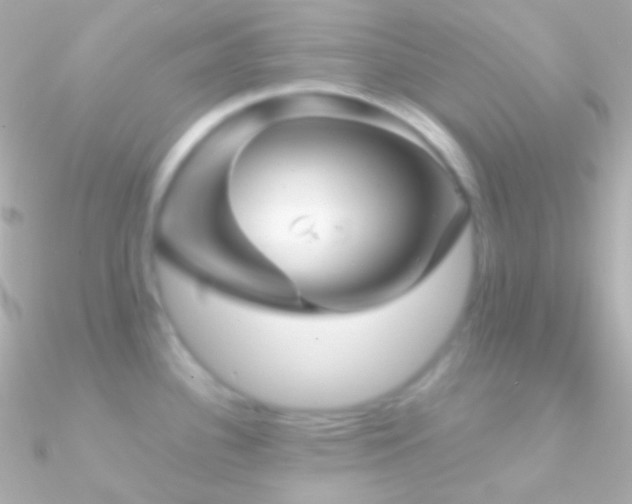 X0000090951340200708021329
