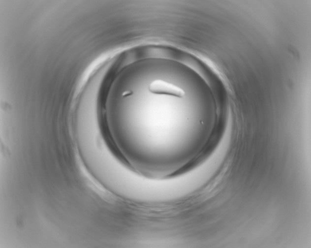 X0000090951342200708021329