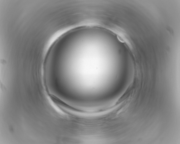 X0000090951343200708021329