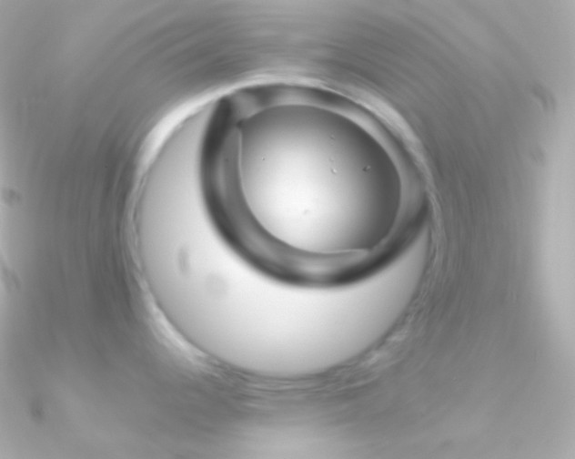 X0000090951344200708021329