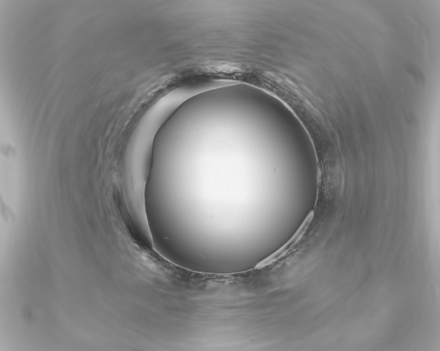X0000090951345200708021329