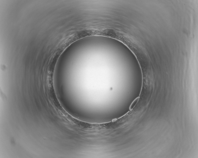 X0000090951346200708021329