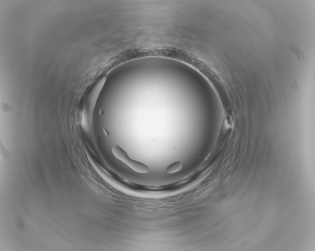 X0000090951348200708021329