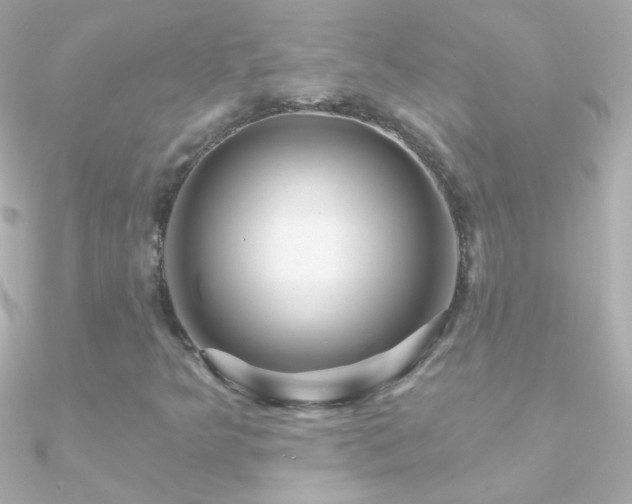 X0000090951349200708021329