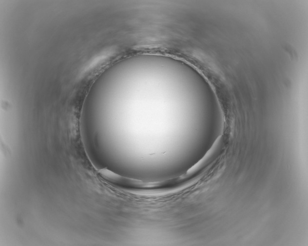 X0000090951350200708021329
