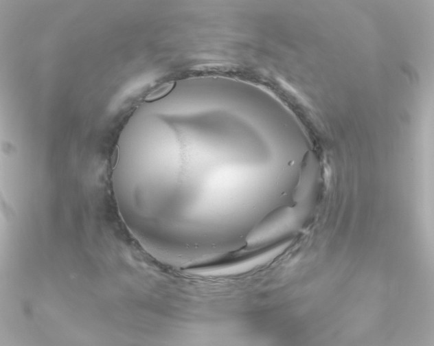 X0000090951351200708021329