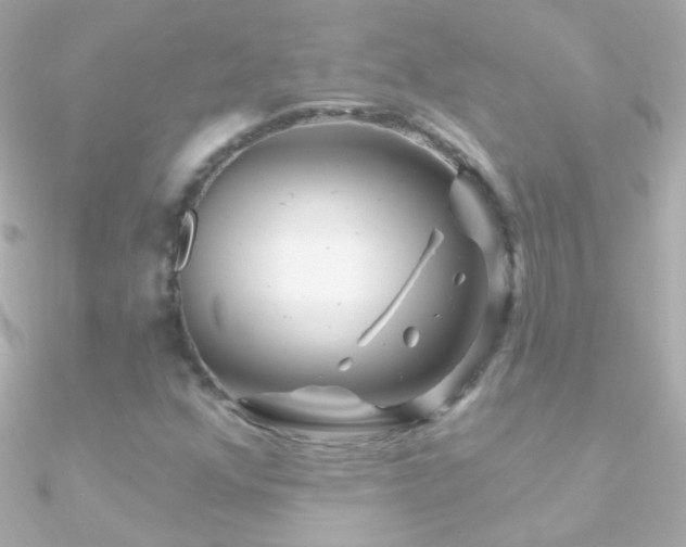 X0000090951352200708021329
